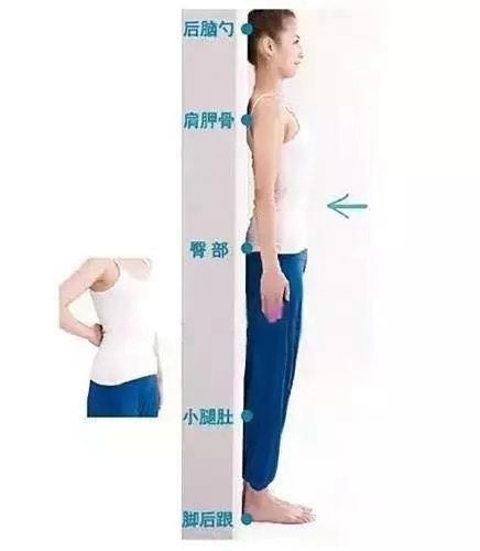 四肢纤细只胖肚子是怎么回事,体态正常还有小肚子是什么原因