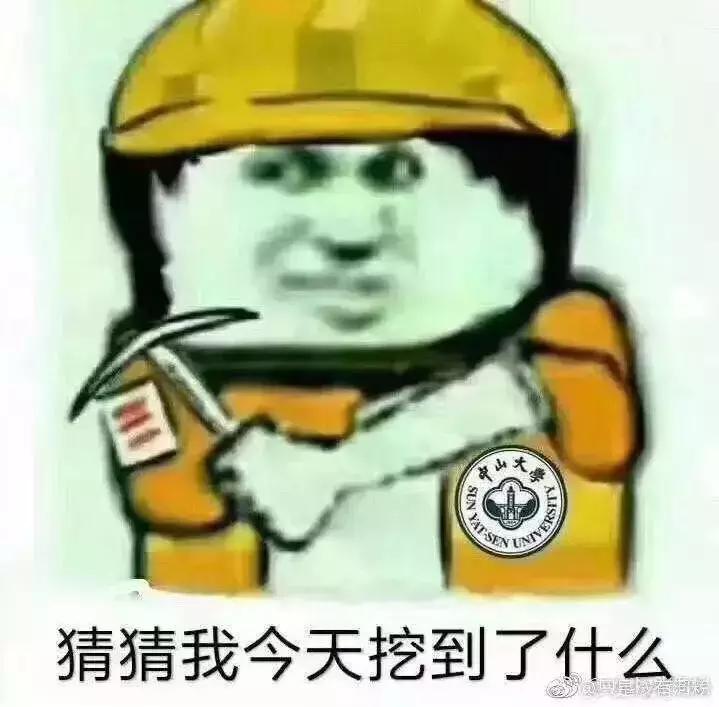 考古发掘的几个大墓,考古发掘古墓大学