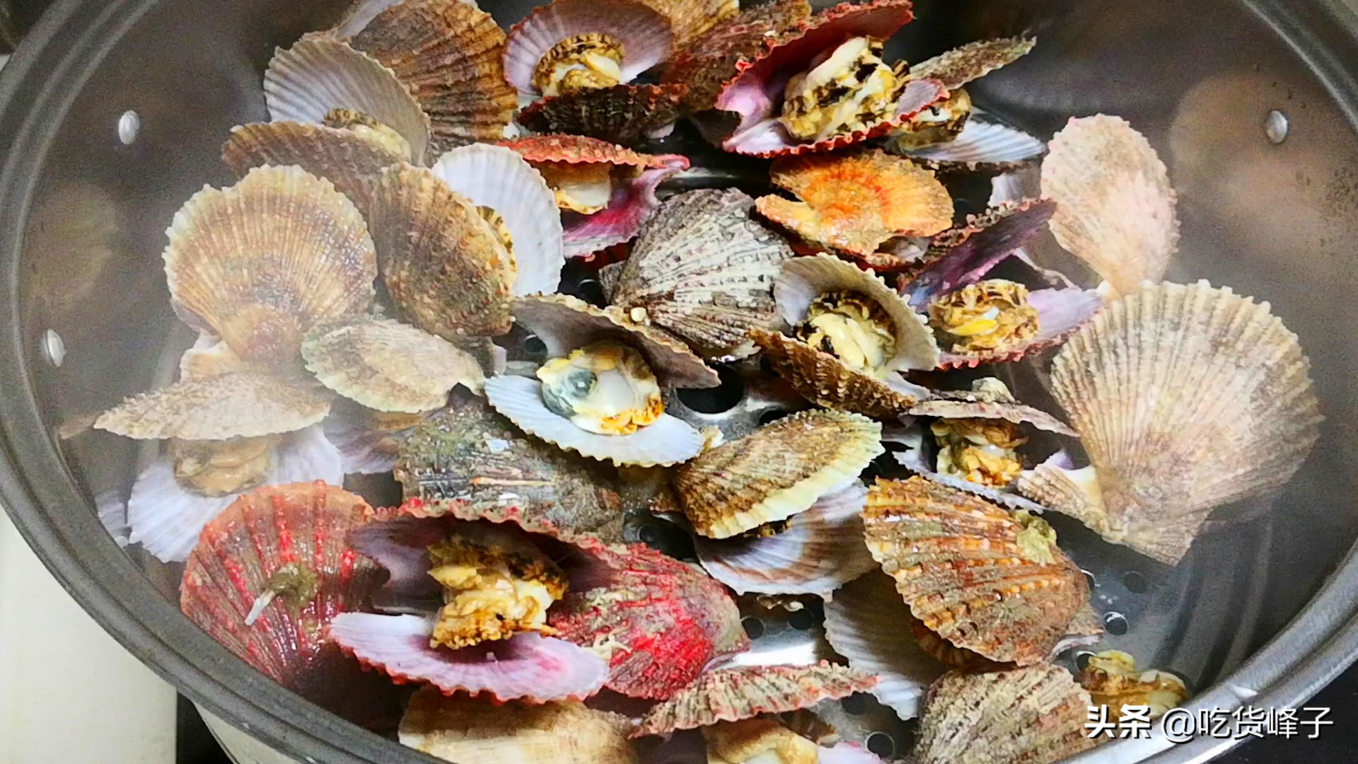 扇贝煮几分钟才好吃,做扇贝如何调料