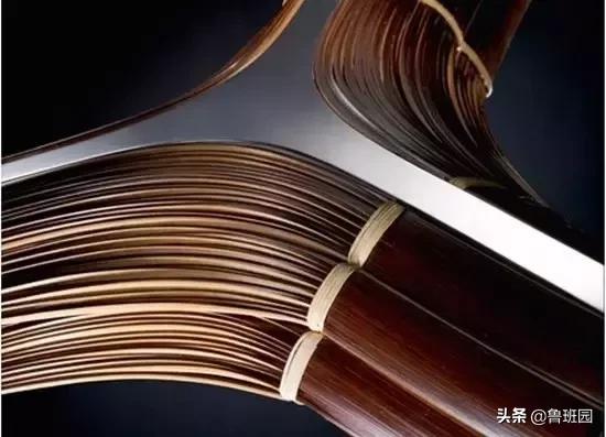 竹子怎么变异成龟甲竹,看竹子挖笋技巧