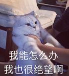 三个技巧让孩子学会超右脑记忆法,孩子的记忆力差教你用右脑记忆