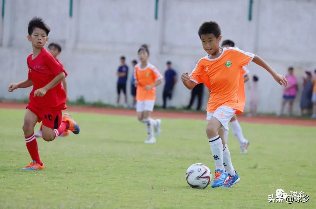 区中小学足球联赛,体教融合杯中学篮球赛