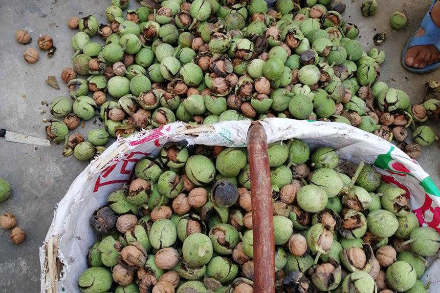 一斤3元，每年只吃3个月，去皮手染黑，一次买10斤不够吃