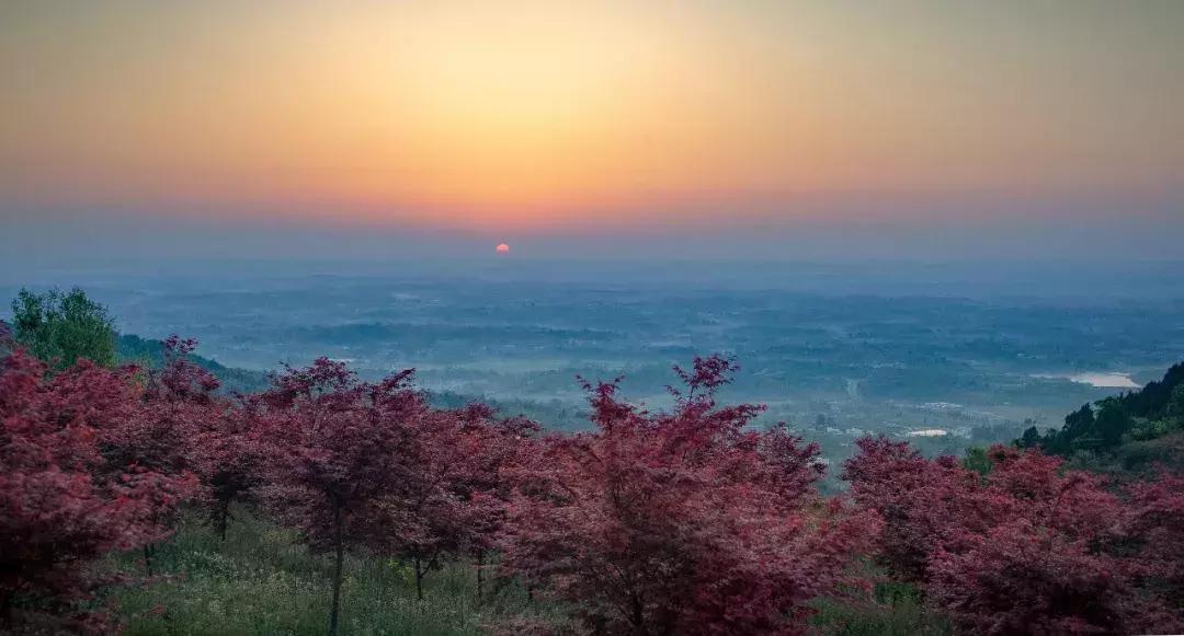 全球最大的城市森林公园,全球最绿色的城市