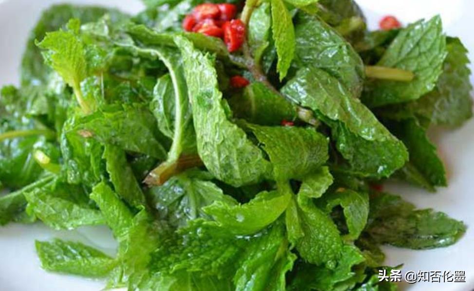 农村种植薄荷方法和时间,农村庭院种植薄荷