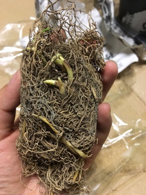 幸福来临清风细雨,幸福到来歌曲完整版