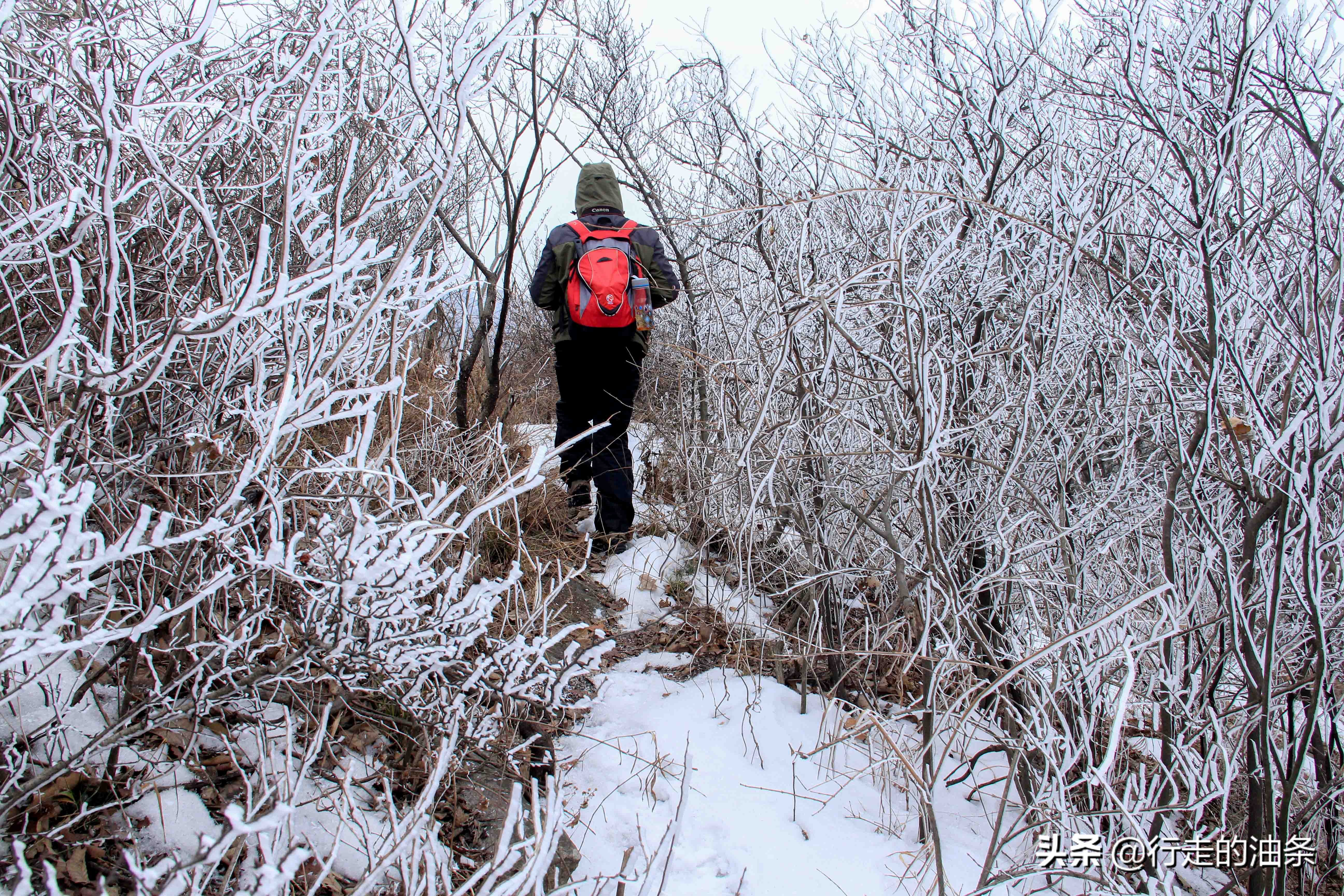 雪山迷路,雪山里迷路