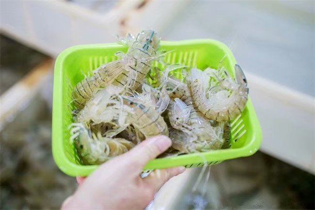 三亚旅游自由行全攻略,三亚旅游攻略自由行游记