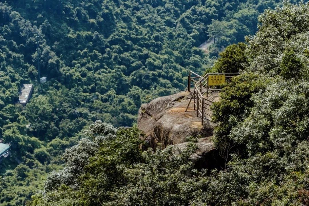深圳最适合亲子游的好去处,深圳周末家庭游玩好去处
