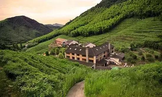 莫干山民宿很厉害吗,莫干山民宿推荐轻奢