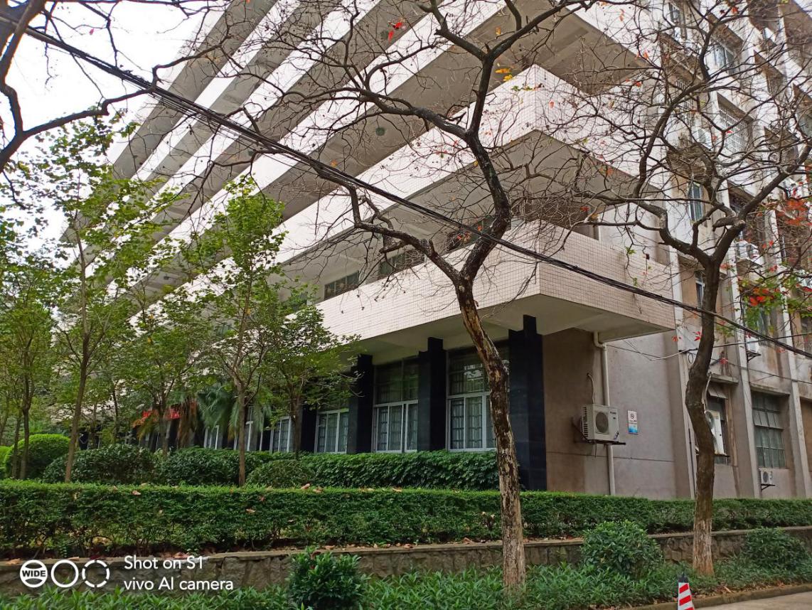 vivos1怎么可以达到最好性能,畅享z上手体验