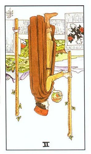 2021年8月塔罗星座运势,塔罗狮子座2021年爱情运势