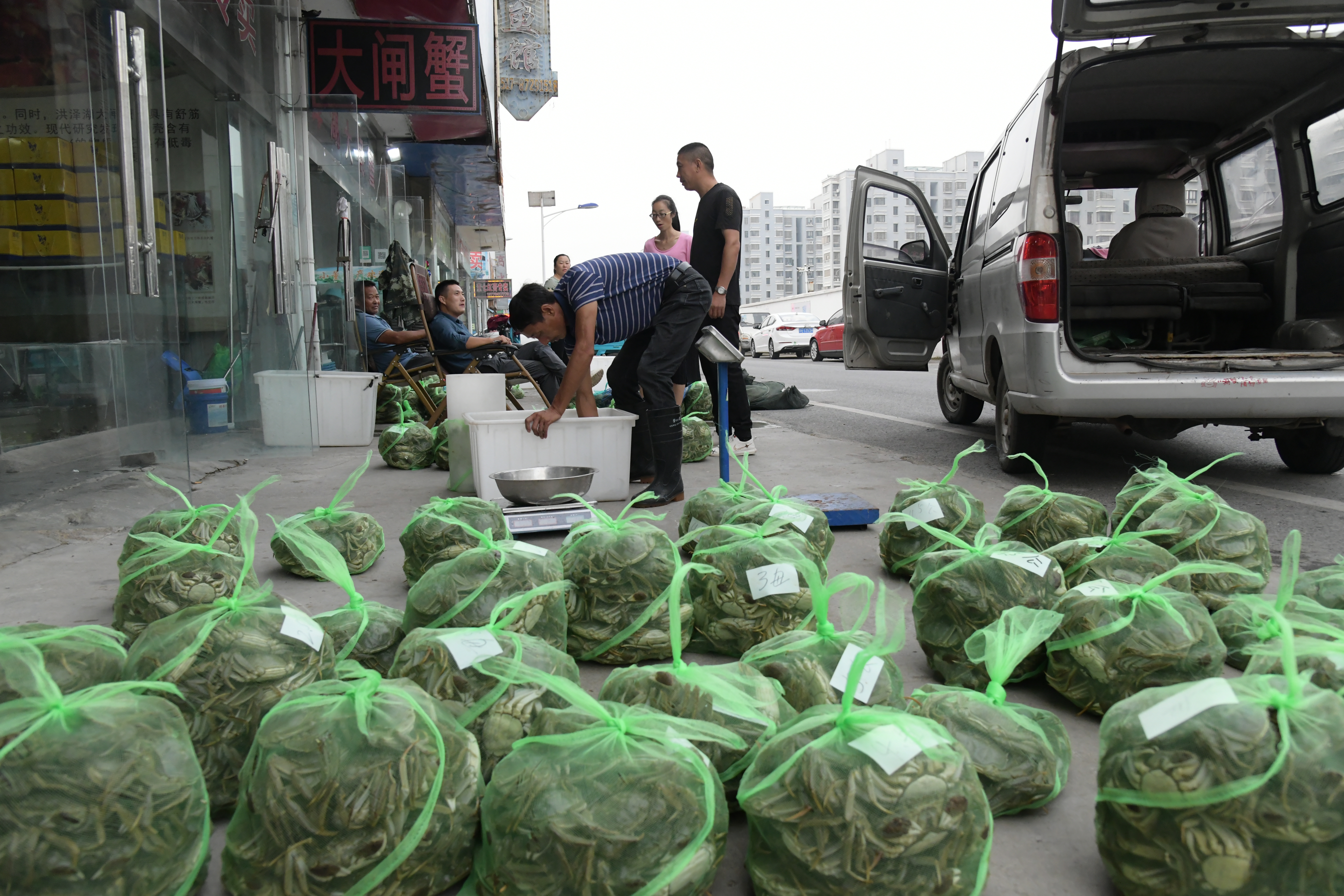 洪泽湖大闸蟹交易市场,洪泽湖大闸蟹批发价格最新行情