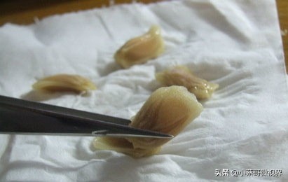 吃完的水果种子不要丢,吃完水果果核别扔