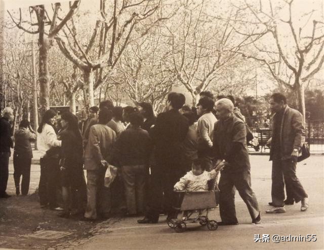 这是80年代的上海，这样的上海你还认识吗？