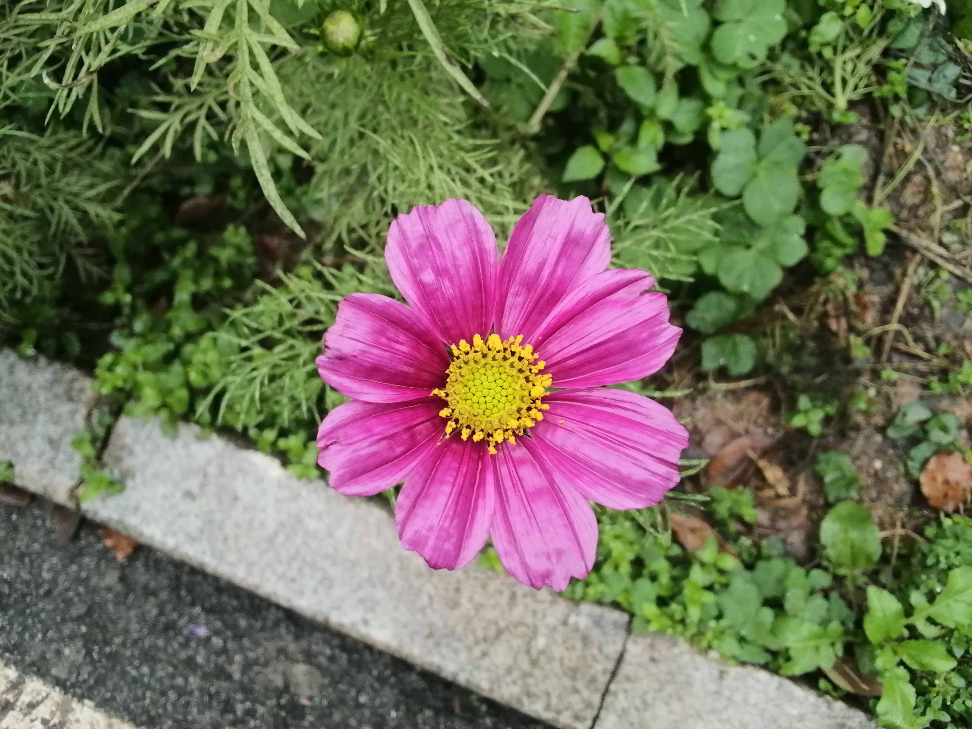 平板荣耀平板5,9成新荣耀平板5