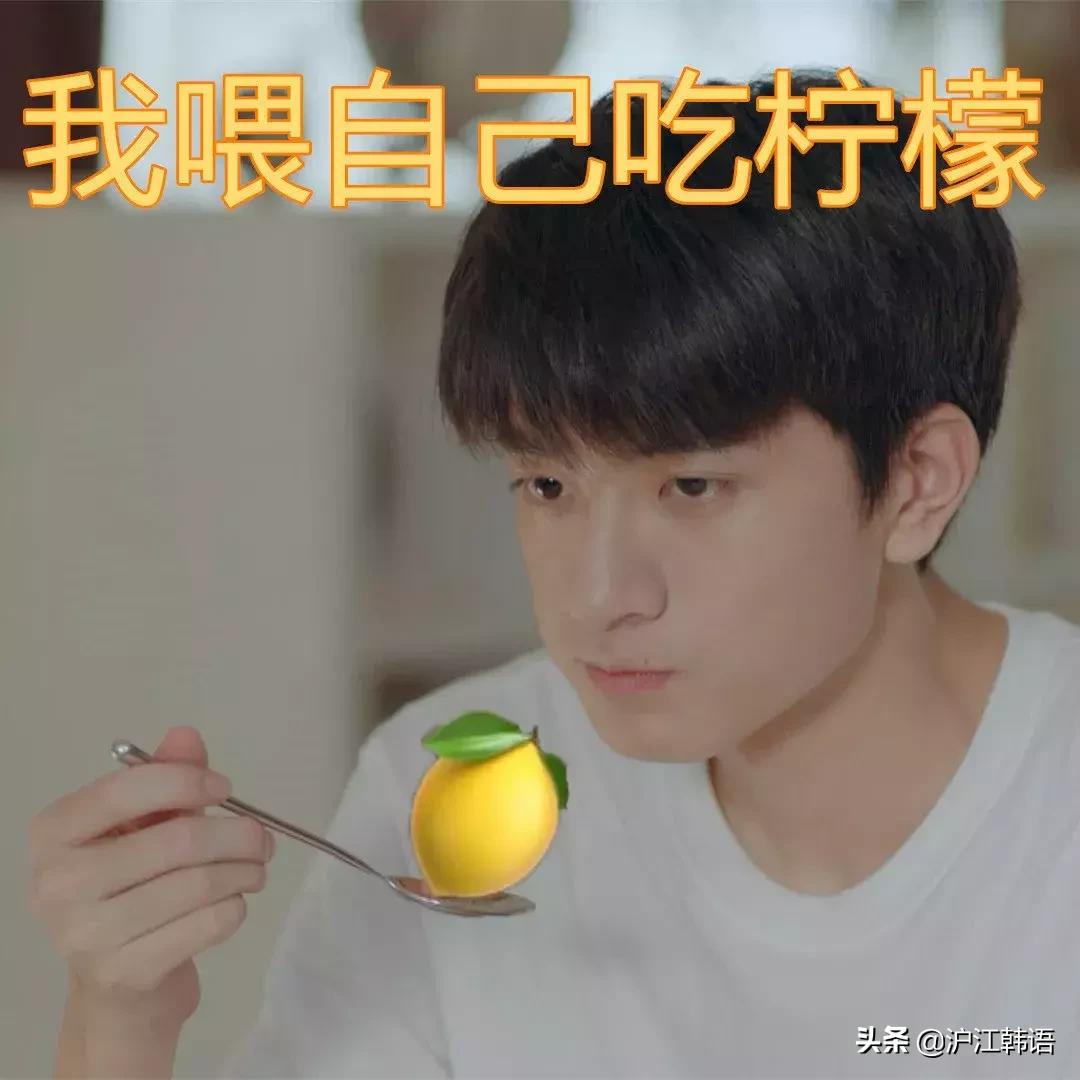 被韩国买版权的综艺,被韩国购入版权的国产剧韩国评论