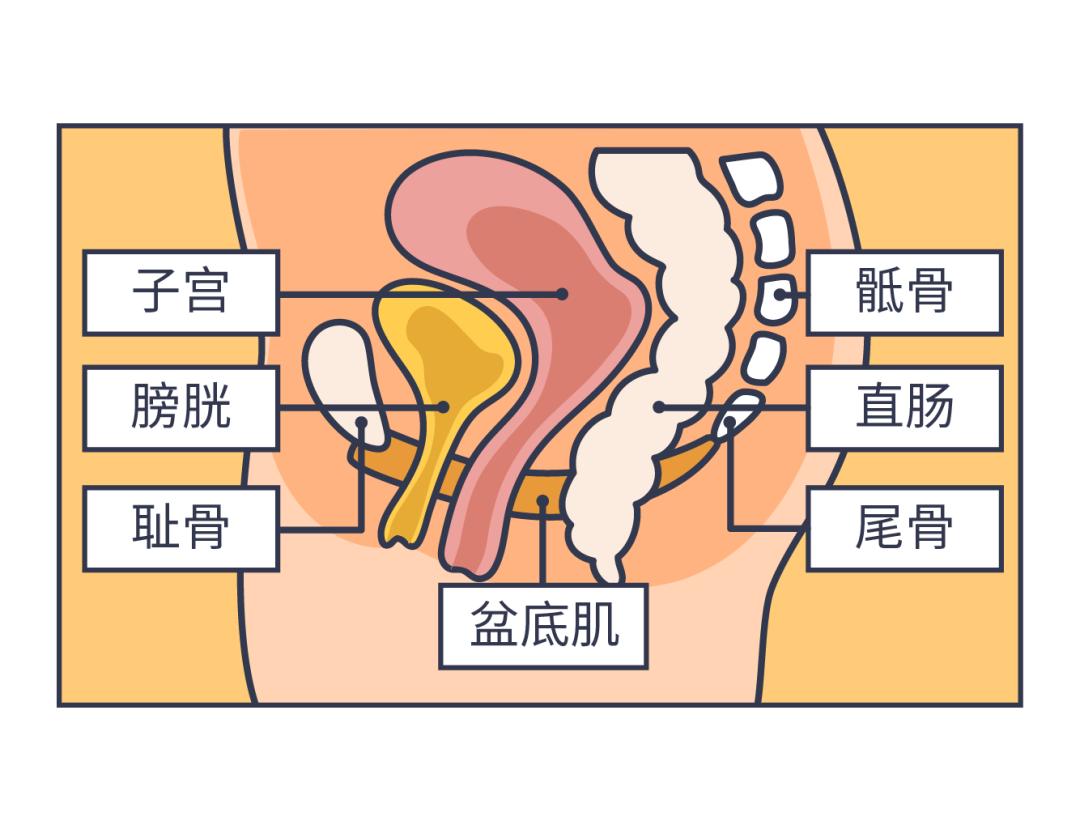 一不小心就湿了，上亿中国女性产后的难言之隐