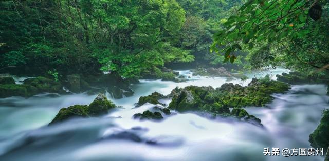 贵州清凉一日游,贵州黔南春季旅游攻略