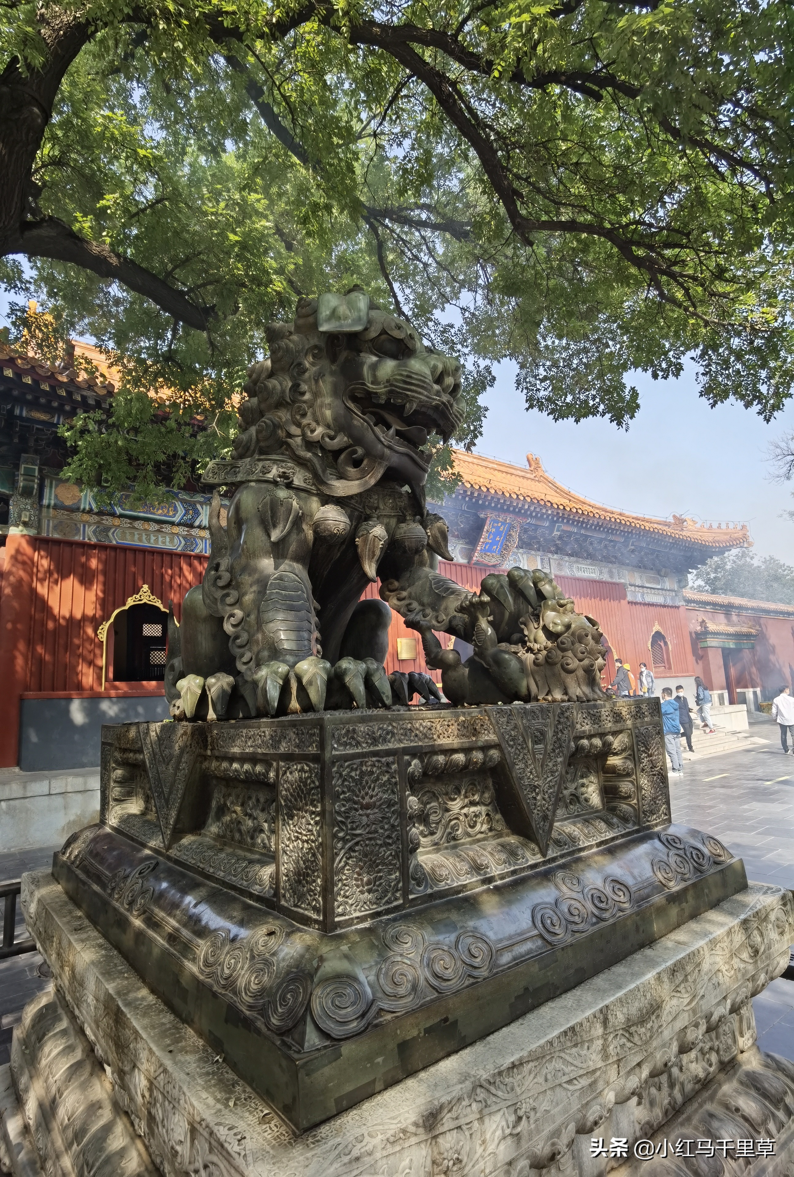 雍和宫游览记,北京行记