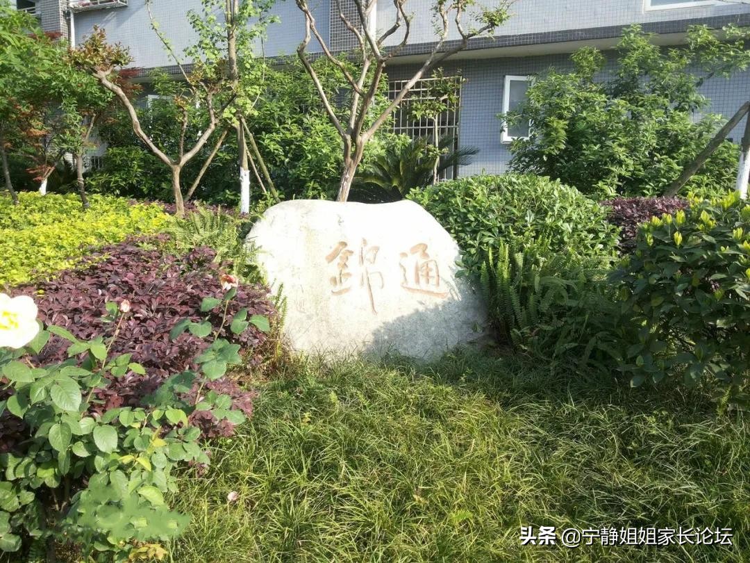 金牛区重高有哪些学校,金牛区高中指标到校名额分配