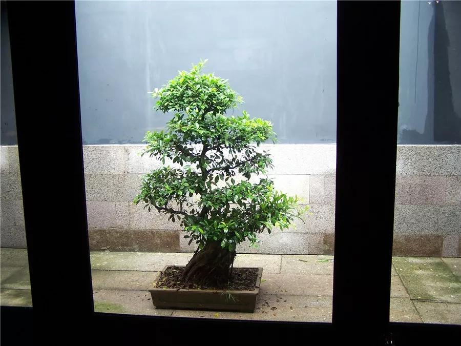 福州林则徐纪念馆，有多少中国人还能记得去瞻仰？