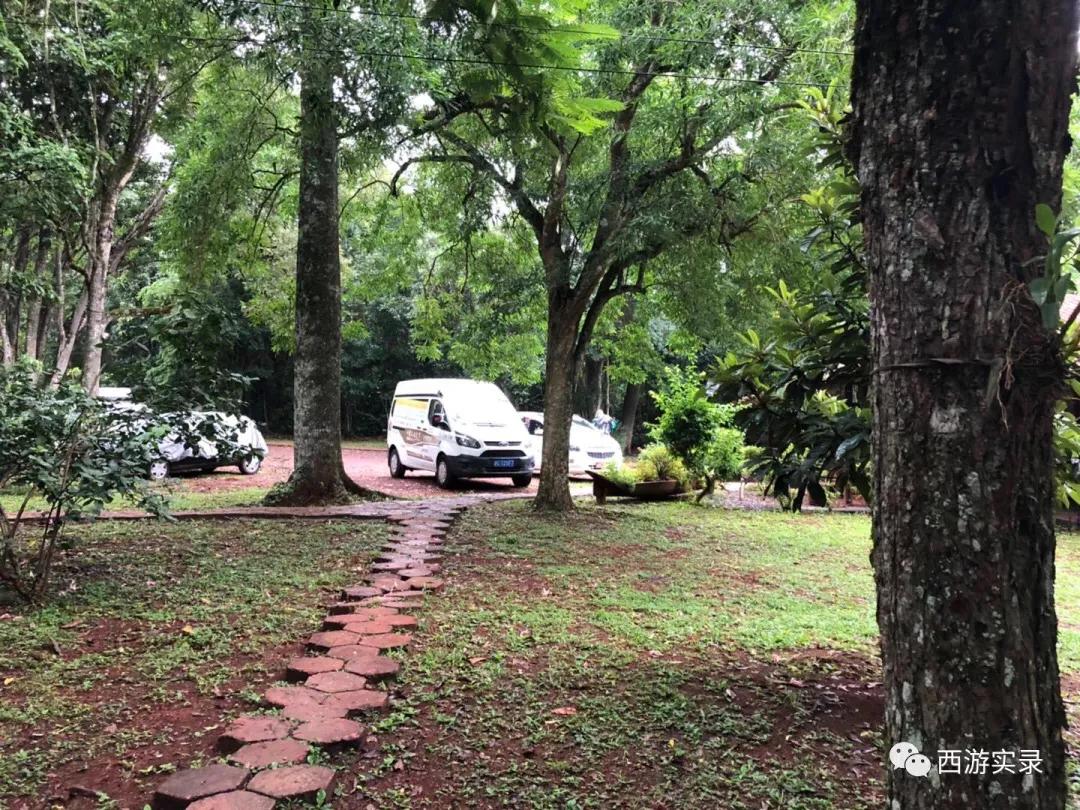 你不会中文怎么交流,跟巴西人学葡语