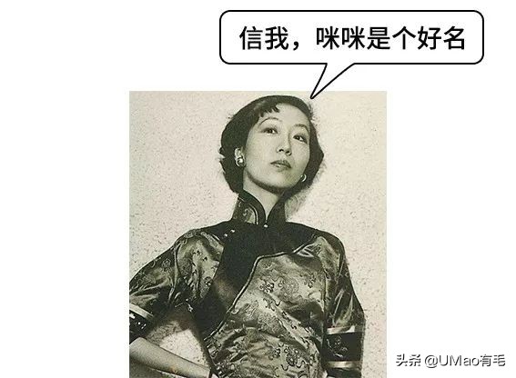 每只猫的名字都能叫出来,一只小公猫的名字