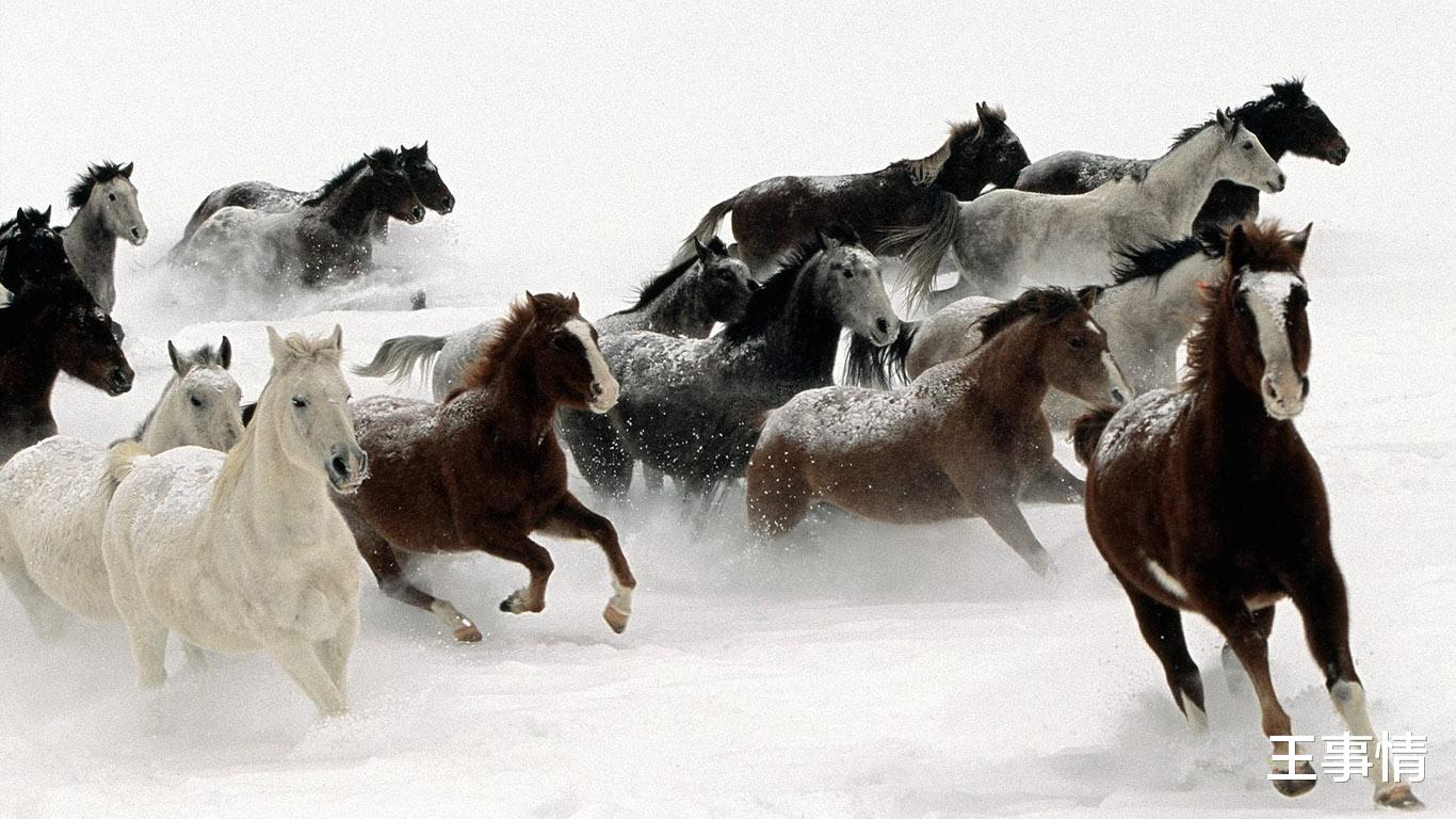 封神大战截教哪些人存活,封神大战后阐教十二金仙去哪了