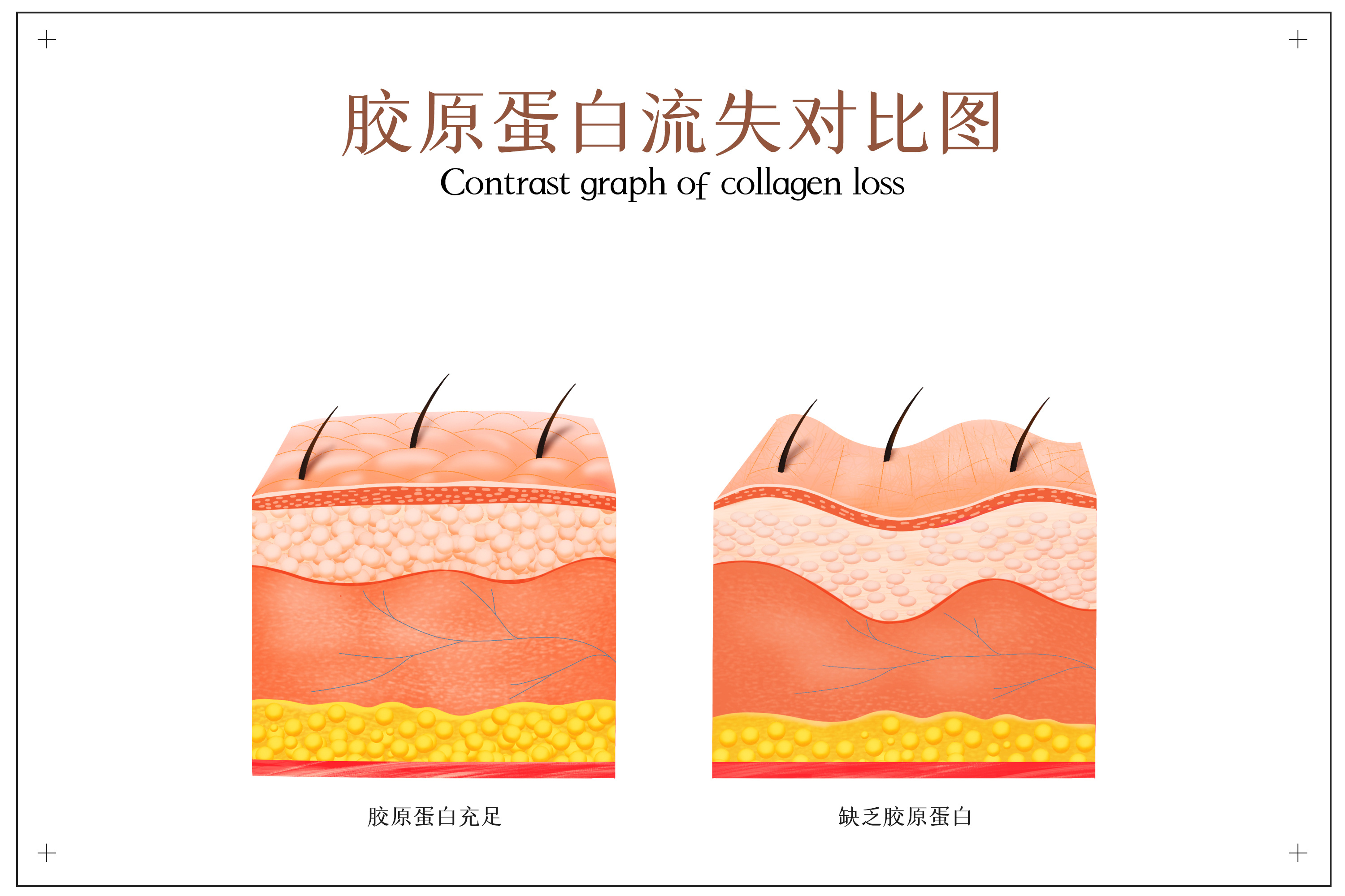 #养肤记#可以让干敏痘皮养成健康中性皮的终极产品分享