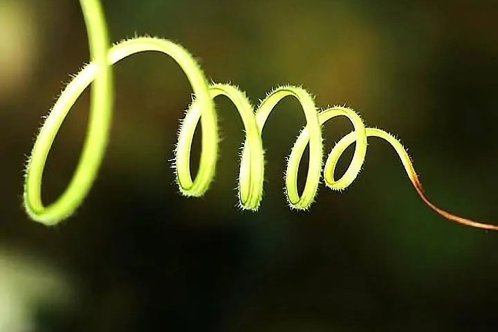 为什么漂亮的女生总是招同性嫉妒,女人怎么应对来自同性的嫉妒