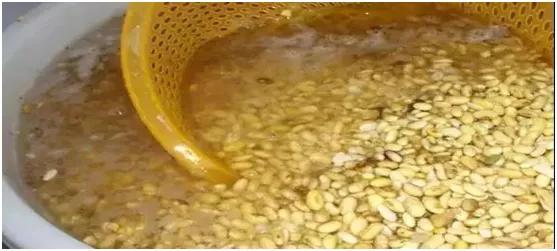 正宗攸县香干视频,正宗攸县香干是什么样的