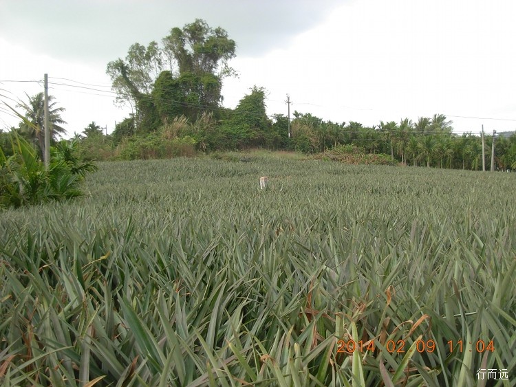 海南环岛骑行的结束感悟,环海南岛骑行中线和西线