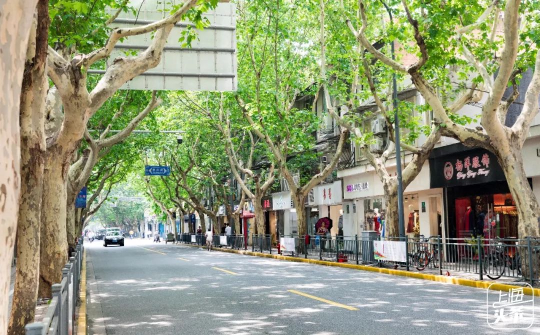 结棍！上海人家门口的这条老街，竟然见证了上海滩的百年风云