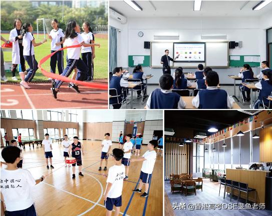 鲸帆dse国际,鲸帆dse国际学校创作人