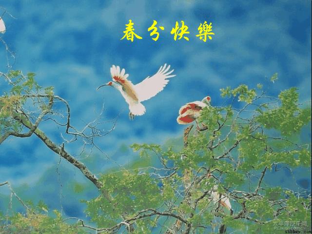 今日春分祝福语录,今天春分用什么祝福语