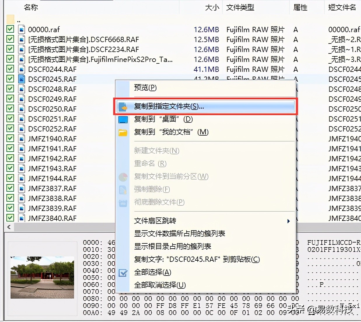 内存卡不能格式化自动恢复,内存卡格式化后文件又自动恢复了