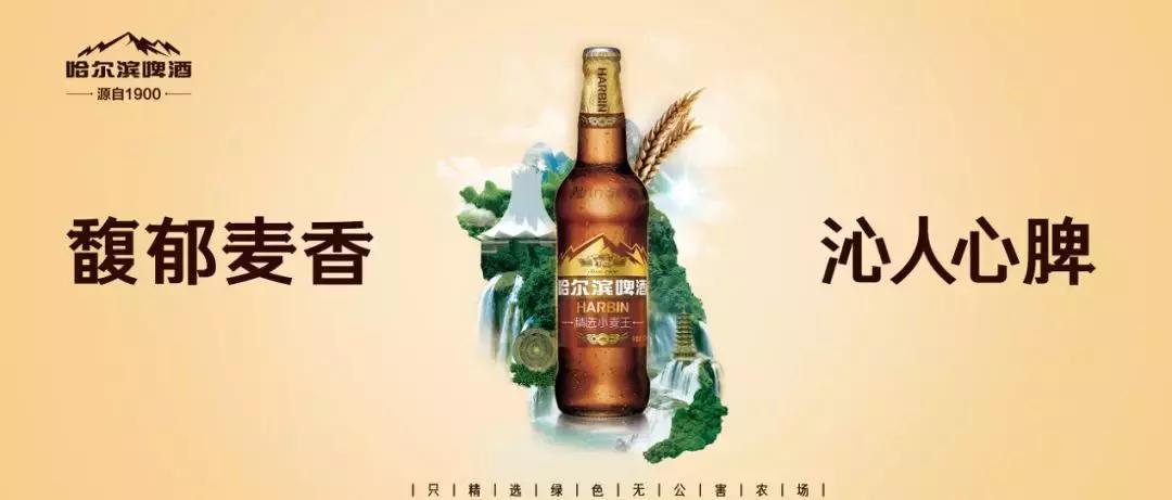 哈尔滨小麦王和经典小麦王,好山好水好谷物