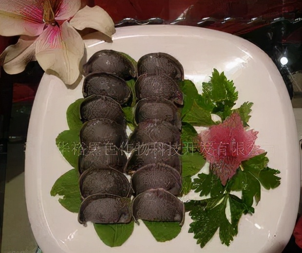 10种点心的配方,广式100种点心配方网红