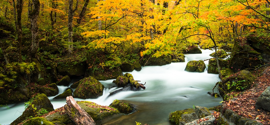 玩转慢门摄影入门技巧,慢门摄影拍摄方法视频