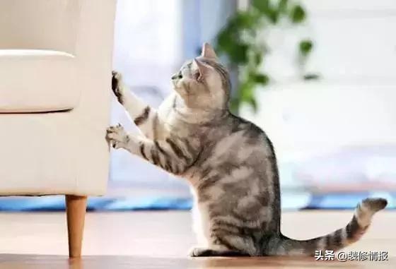 你会选哪一张床,当你累了会选择哪张床