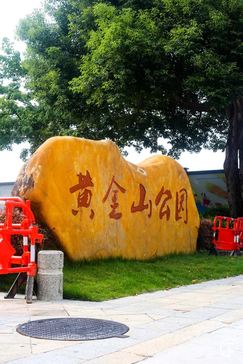 遍地华为男，深圳坂田有多绝？