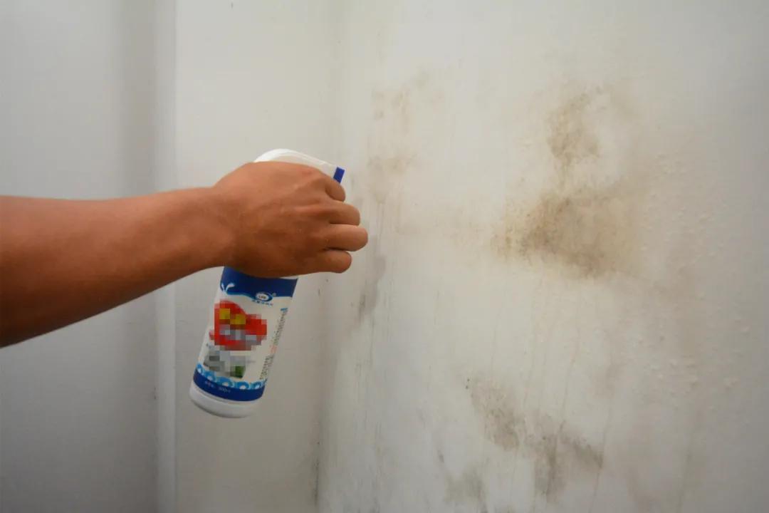 睡觉青苔霉菌连一起可靠信赖求助呼援通