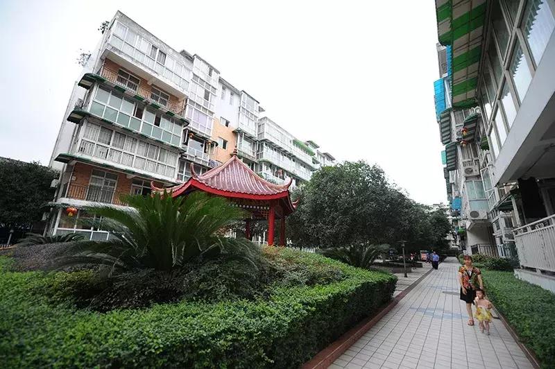 双流区城市森林公园,你生活的城市什么样