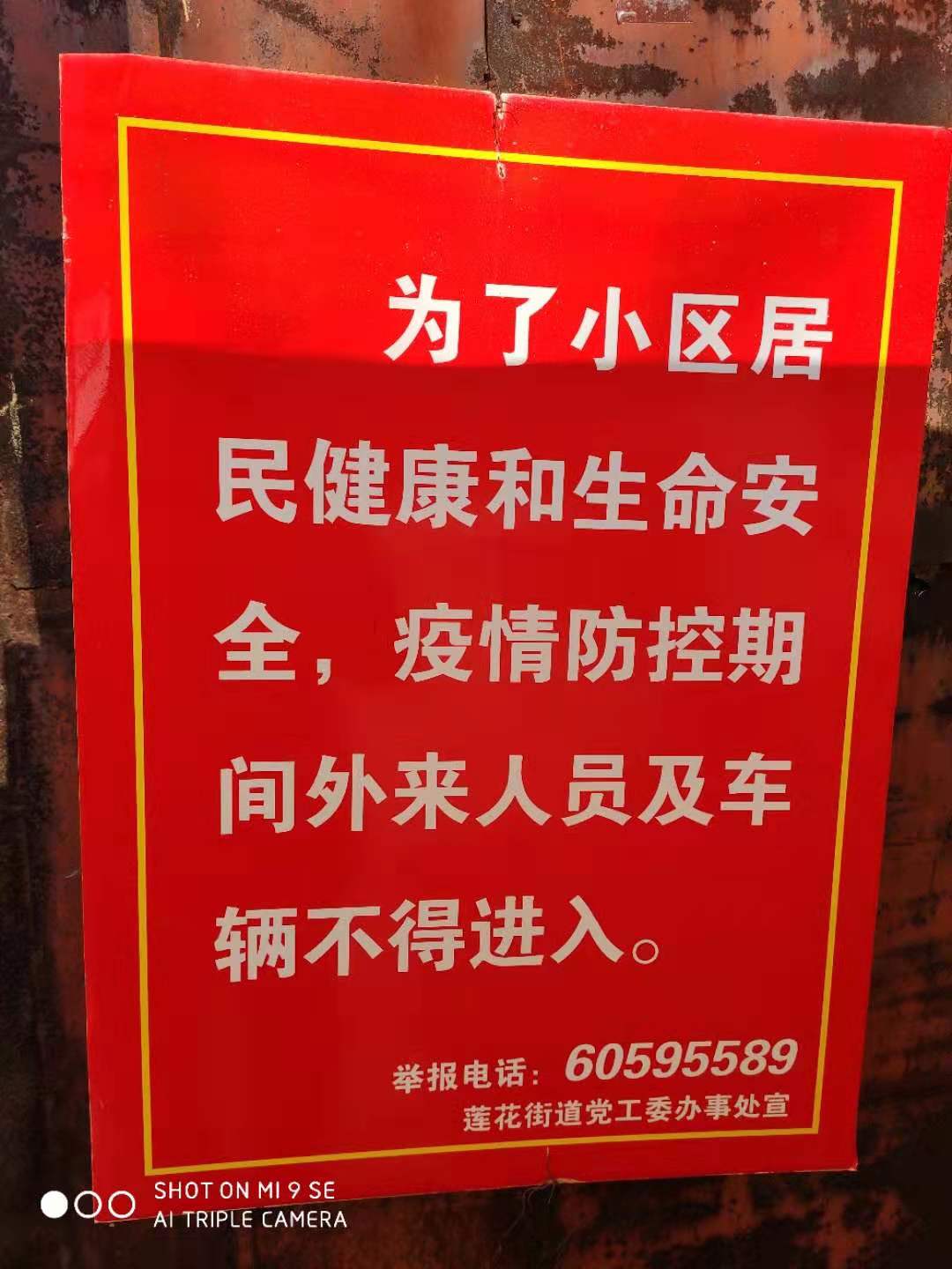 怀念阳光下自由呼吸的味道