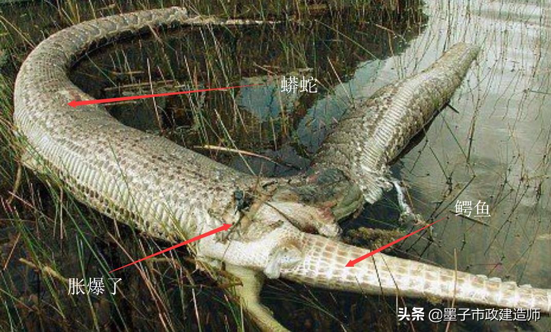 二建给水排水管道施工口诀,二建给水排水管网维护与修复技术