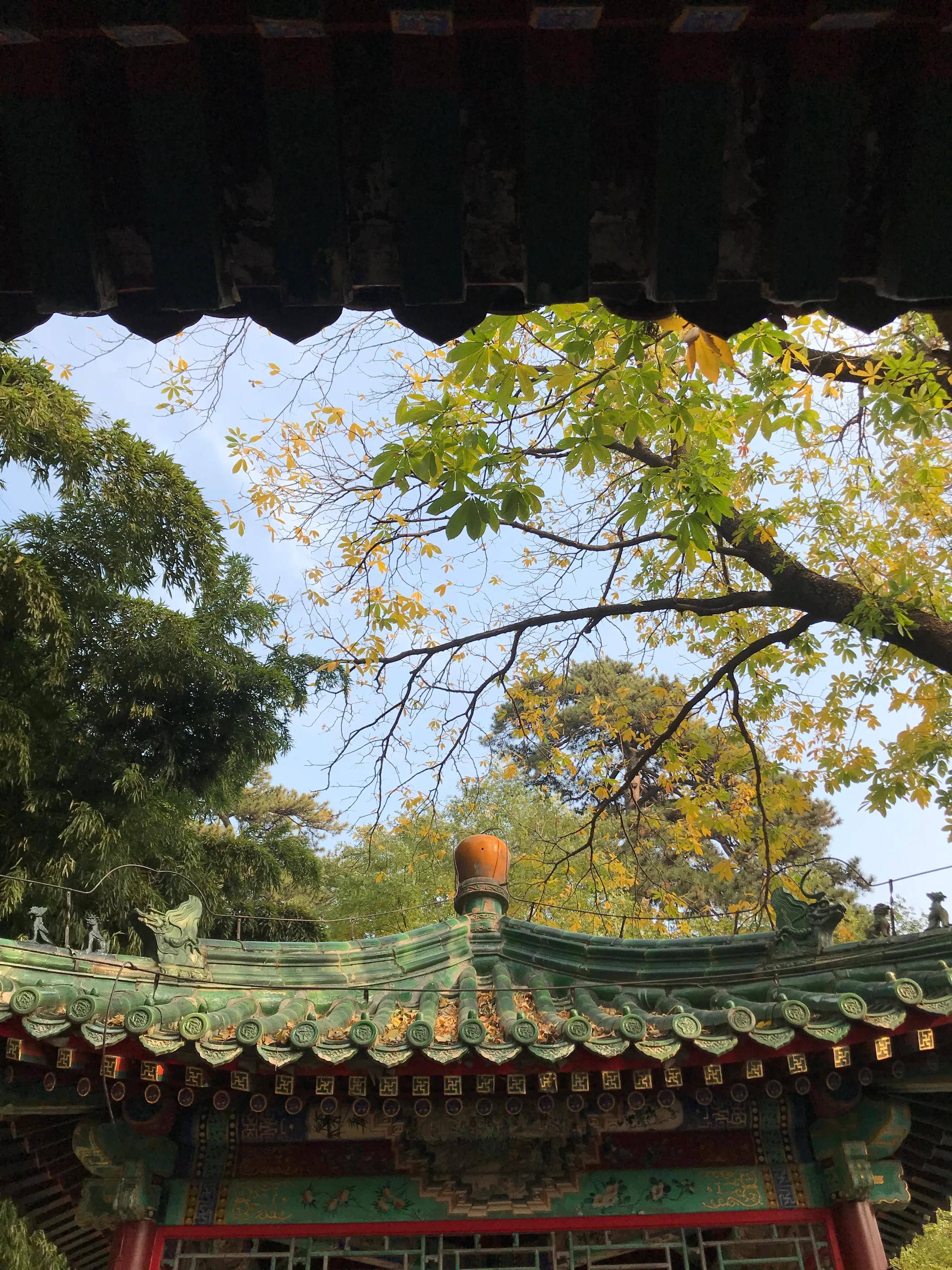 浼楃敓涓嶈,浼楃敓铏氬够