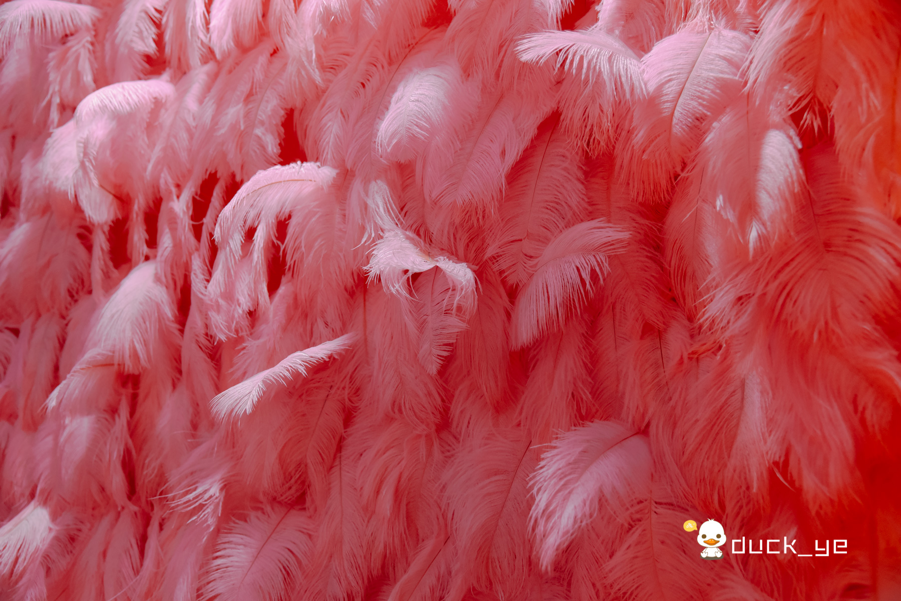 厦门神秘酒吧,厦门最有气氛最嗨的酒吧