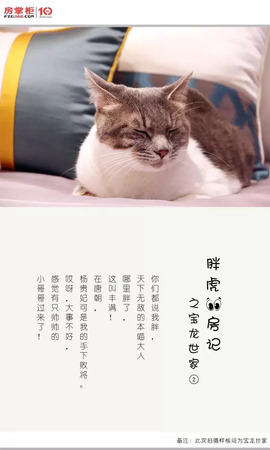 「胖虎大人看房记」第②期——宝龙世家