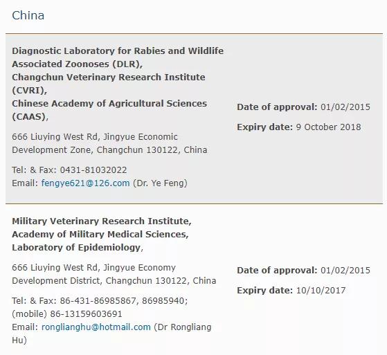 如何带小猫出国旅游,怎么带猫咪出国旅游最好